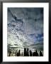 Standing Stones, Isle Of Lewis, Scotland by Niall Benvie Limited Edition Print