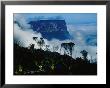 Peak Of Mountain Seen Through Clouds, Puerto La Cruz, Anzoategui, Venezuela by Krzysztof Dydynski Limited Edition Print