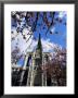 Cathedral Of Notre-Dame, Rouen, Seine-Maritime, Haute Normandie (Normandy), France by David Hughes Limited Edition Print