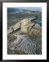 Kilauea Volcano Crater Showing Solidified Ropy Lava Called Pahoehoe, The Big Island, Hawaii, Usa by Geoff Renner Limited Edition Print