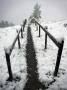 Snow Scene In Gimmelwald, Interlaken, Switzerland by Robert Eighmie Limited Edition Print