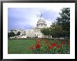 Capitol Building And Colorful Flowers, Washington Dc, Usa by Bill Bachmann Limited Edition Print