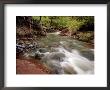 Lost Horse Creek, Wateron Lakes National Park, Alberta, Canada by Chuck Haney Limited Edition Pricing Art Print