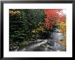 Moving Stream And Fall Colors, Groton, Vermont, Usa by Bill Bachmann Limited Edition Print