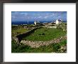 Farm At Inishmore, Ireland by Wayne Walton Limited Edition Pricing Art Print