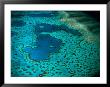Overhead Of Heart Reef, Great Barrier Reef, Australia by Richard I'anson Limited Edition Print