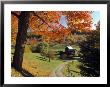 Fall Foliage, Vermont, Usa by Gavin Hellier Limited Edition Print