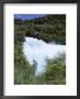 The Huka Falls, Known As Hukanui (Great Body Of Spray) In Maori, 10M High, Waikato River by Jeremy Bright Limited Edition Print