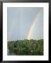 Rainbow Over Albi, France by Peter Adams Limited Edition Print