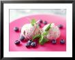 Blueberry Ice Cream With Sprig Of Mint by Jorn Rynio Limited Edition Print