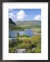 Ring Of Kerry Between Upper Lake And Muckross Lake, Munster, Republic Of Ireland (Eire) by Roy Rainford Limited Edition Print