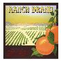 Ranch Brand by Elizabeth Garrett Limited Edition Print