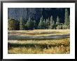 El Capitan Meadow In The Valley Of Yosemite National Park by Marc Moritsch Limited Edition Print
