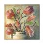 Magnolias by Sally Wetherby Limited Edition Print