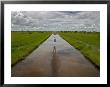Flooded Road Through Green Fields Under A Cloud-Filled Sky by Randy Olson Limited Edition Print