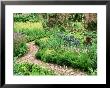 Potager Brick Paving by Mark Bolton Limited Edition Print