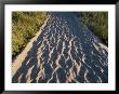 Sand Path Through The Dunes, Block Island, Rhode Island by Todd Gipstein Limited Edition Print