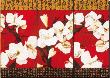 Asian Amaryllis I by Gabriel Scott Limited Edition Pricing Art Print