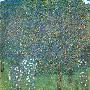 Roses Under The Trees, C.1905 by Gustav Klimt Limited Edition Print