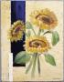 Helianthus by Bjorn Baar Limited Edition Print