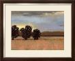 Approaching Storm Ii by Norman Wyatt Jr. Limited Edition Print
