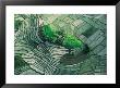 Terraced Rice Fields, Bali by Yann Arthus-Bertrand Limited Edition Pricing Art Print