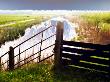 Fence, Dyke And Horizon, Holland by Images Monsoon Limited Edition Print