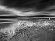 Beach Scene In Monterey, California by Images Monsoon Limited Edition Print