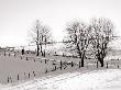 Man Walking In Winter Countryside by Ilona Wellmann Limited Edition Print