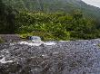 All Terrain Vehicle Drives Through A River In The Waipi'o Valley by Todd Gipstein Limited Edition Print