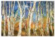 Birch Grove Ii by Sharon Pitts Limited Edition Pricing Art Print