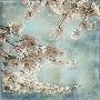 Aqua Blossoms Ii by John Seba Limited Edition Pricing Art Print