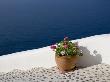 Greek Flowers Over The Sea by Scott Stulberg Limited Edition Print