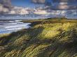 Windswept Grassy Sand Dunes Near Dunstanburgh Castle, Dunstanburgh, Northumberland, England, Uk by Adam Burton Limited Edition Print