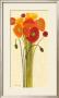Sizzle Ii by Shirley Novak Limited Edition Pricing Art Print