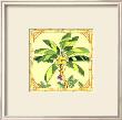 Banana Palm by Siddhia Hutchinson Limited Edition Print