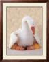 Mother Goose by Anne Geddes Limited Edition Print