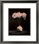 Flowers, C.1983 by Robert Mapplethorpe Limited Edition Print