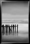 Old Pier I by Shane Settle Limited Edition Pricing Art Print
