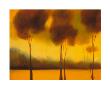 Glowing Sky Ii by Bonita W. Goldberg Limited Edition Print