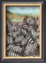 Zebra Gathering by Kilian Limited Edition Print
