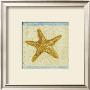 Starfish by Jose Gomez Limited Edition Pricing Art Print
