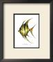 Fish Tail Ii by Carolyn Shores-Wright Limited Edition Print