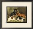 Toy Spaniels by Vero Shaw Limited Edition Print