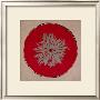 Flower On Red Circle by Anna Buschulte Limited Edition Pricing Art Print