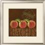 Delicious Peach by Kathy Middlebrook Limited Edition Print