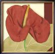 Anthurium Elegance Iv by Jennifer Goldberger Limited Edition Pricing Art Print