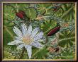 Enchanting Lily by Gloria J. Callahan Limited Edition Print