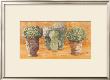 Pots Et Buis I by Laurence David Limited Edition Print