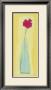 Single Gerbera by Michael Clark Limited Edition Print